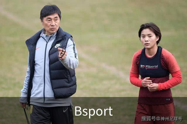 Bsport公司介绍图片